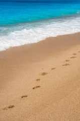 Obraz na płótnie Canvas Ślady na plaży przez falę