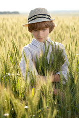 Boy is among the ears of wheat