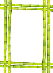 bamboo frame