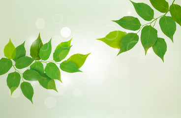 Nature background with green fresh leaves   Vector