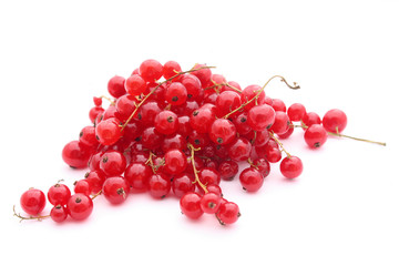 Grapillons de groseilles