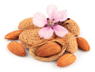 Almonds with leaves