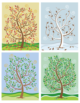 Tree in Four Seasons