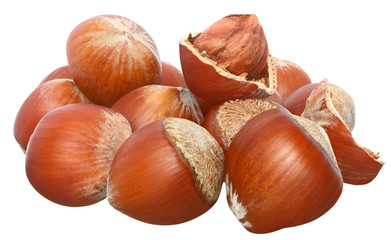 Hazelnuts.