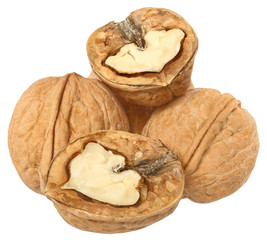 Walnut crack close up