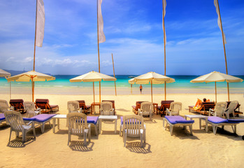 lasy tropical  holidays