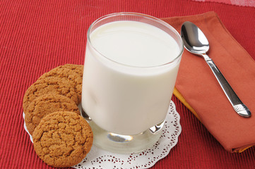 Ginger snap cookies and milk