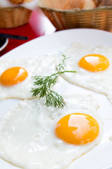 Prepared Egg