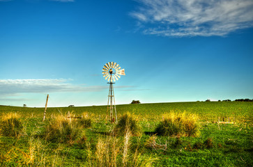 Beautiful  old windmill on Farmland ,  Western Australia