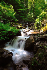 a stream in uludag , bursa, turkey