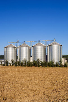 field in harvest with silo