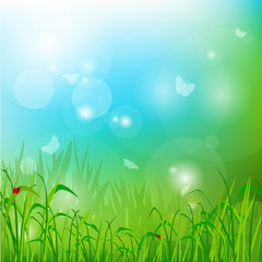 Obraz premium Summer glade