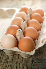 Chicken brown eggs
