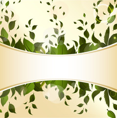 Abstract background with green leaves for design