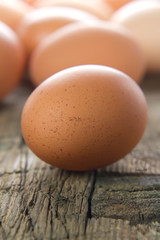Chicken brown eggs