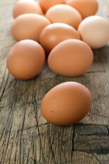 Chicken brown eggs