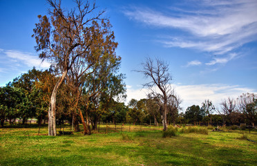 Landscape - Australia