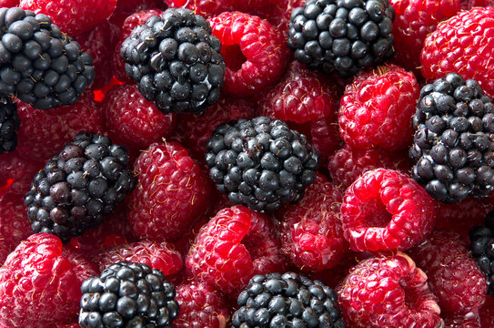 Fresh blackberry and raspberry
