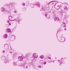 Fototapeta na wymiar Floral border with orchids for your design