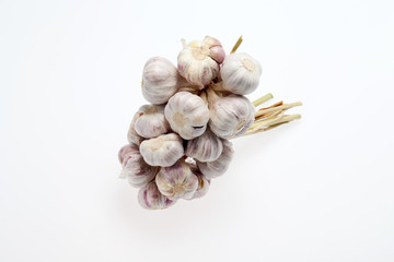fresh garlic  on white background