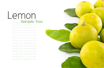 Kaffir leaves and lime on white background