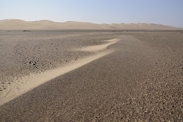 Naklejka premium Dünenlandschaft an der Skelettküste