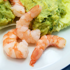 Avocadomousse mit Garnelen