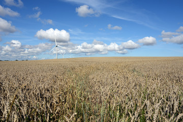 Obraz premium Norddeutschland