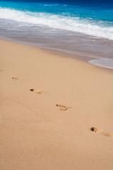 Fototapeta na wymiar Footsteps on the beach
