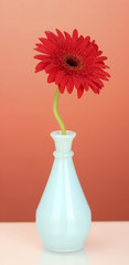 Beautiful red gerbera in vase on red background close-up
