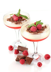 fruit jelly in glasses with chocolate and raspberries isolated