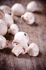 Mushrooms on wooden background
