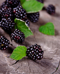 Fresh Blackberries on wooden background