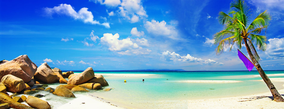 beautiful panorama of tropical beach