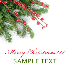 Christmas and New Year Border