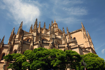 Fototapeta premium Segovia Cathedral