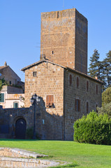 Tower of Lavello. Tuscania. Lazio. Italy.