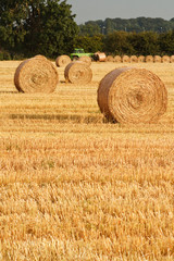 Circular Straw Bales