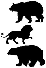 Predator animal silhouettes
