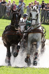 Sportkutsche im Wasser