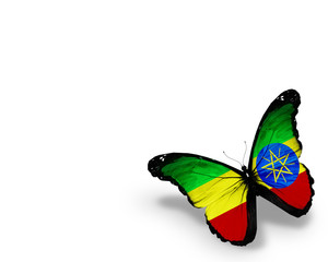 Ethiopia flag butterfly, isolated on white background