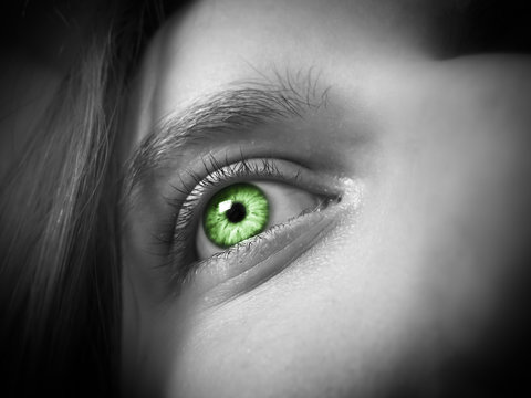 Nahaufnahme grünes Auge