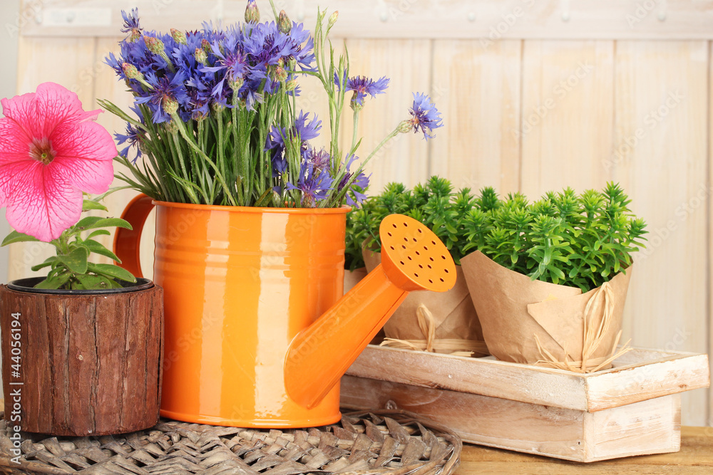 Canvas Prints watering can and plants in flowerpots on wooden background