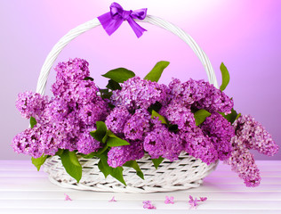 beautiful lilac flowers in basket on purple background