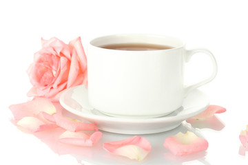 cup of tea with rose isolated on white