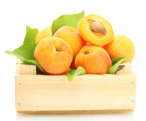 ripe apricots with green leaves in wooden box isolated on white