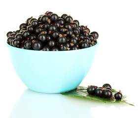 Fresh black currant in blue bowl isolated on white