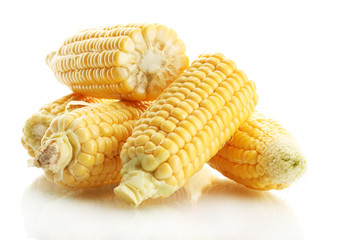 fresh corn, isolated on white