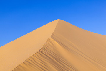 Fototapeta na wymiar wydma w świcie na pustyni