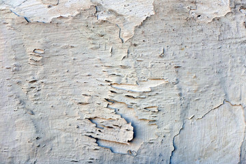 Schäden an Hauswand